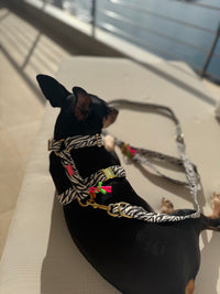 Leine „Stripe Society“