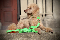 Leash "FeelGood" NeonGreen