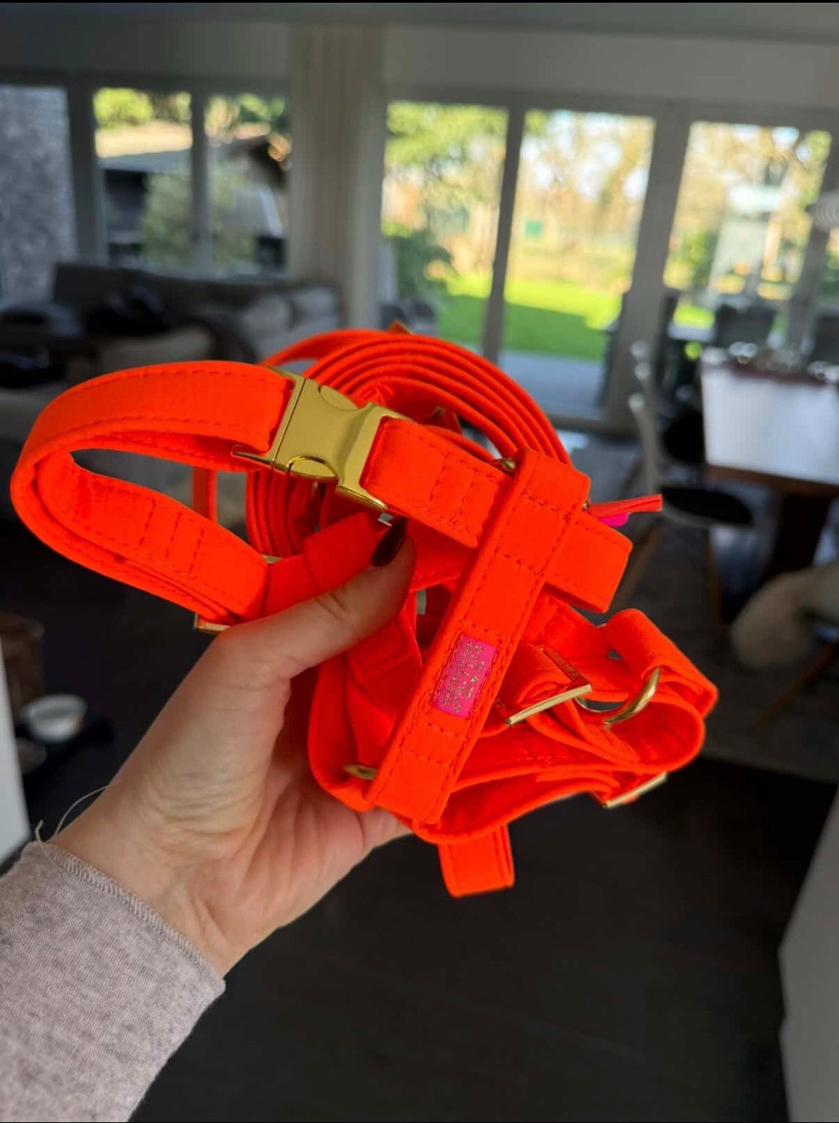 Leine "Neonique“ Orange