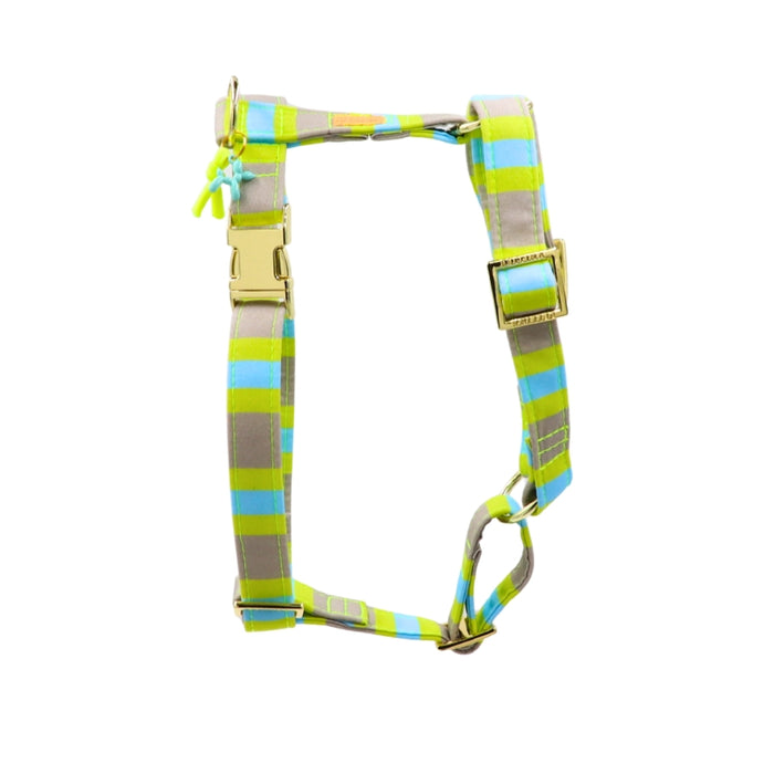 Hundegeschirr "SummerBreeze" Lime