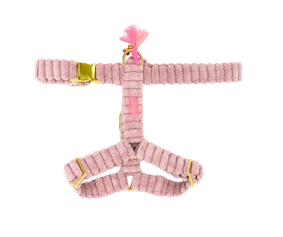 Hundegeschirr "Couchy" Powderrose