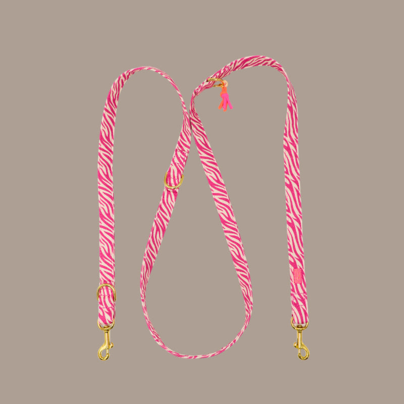 Leine „Stripe Society“ Pink