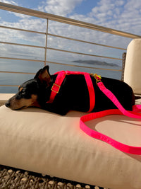 Hundegeschirr "Neonique" Pink