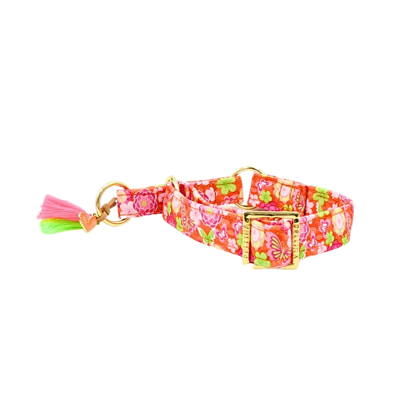 Zugstopp Halsband "Ibiza Spring"