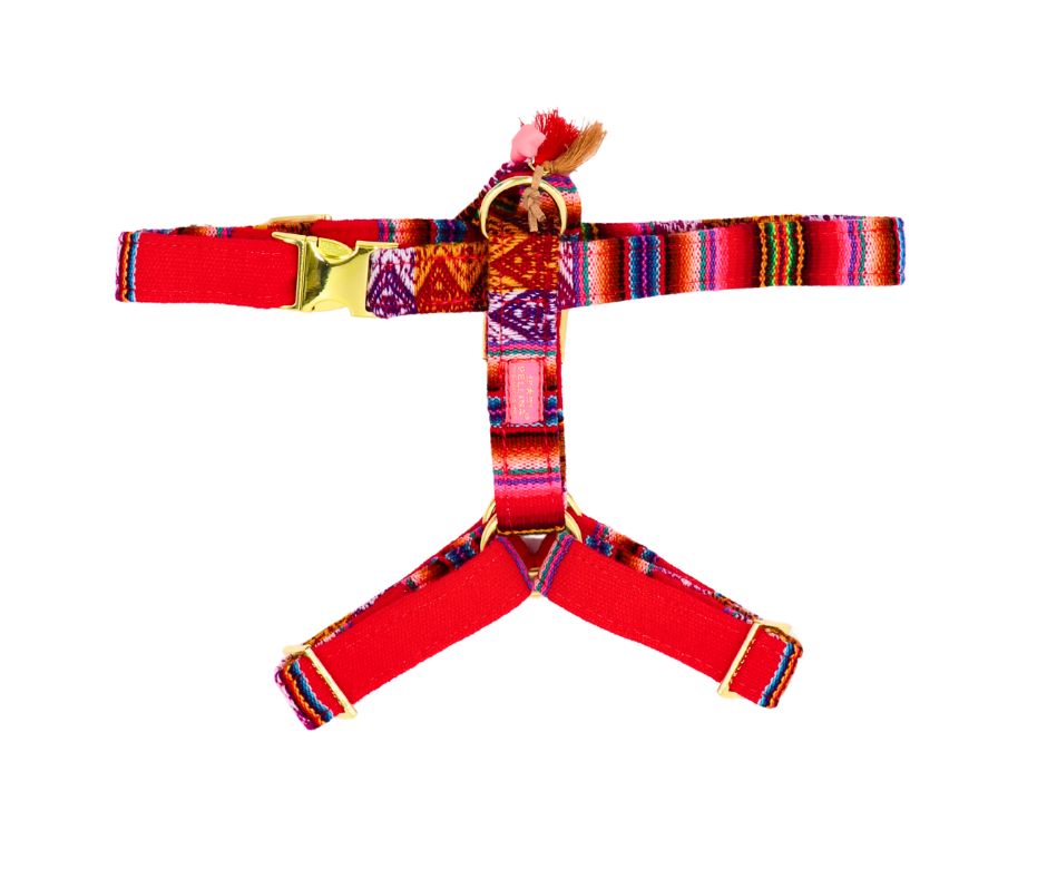 Hundegeschirr "LaaBoheme" Red
