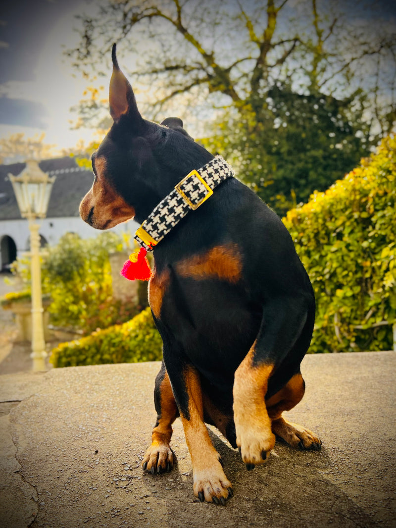 Halsband "Classic“