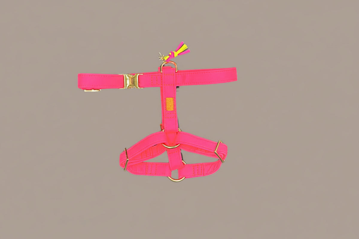 Hundegeschirr "Neonique" Pink