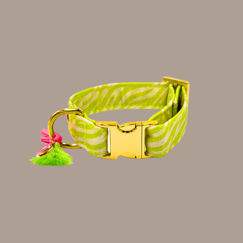 Halsband "Stripe Society" Lime