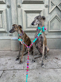 Train stop collar "LaaBoheme" emerald