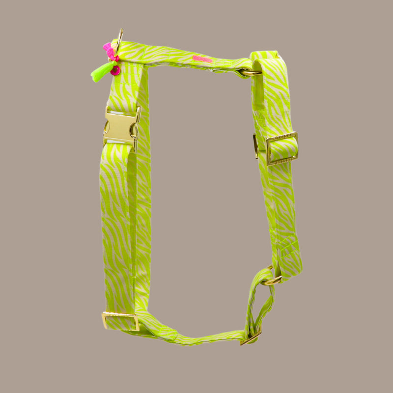 Hundegeschirr "Stripe Society" Lime