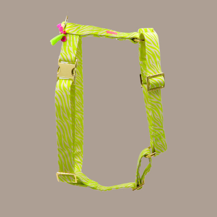 Hundegeschirr "Stripe Society" Lime