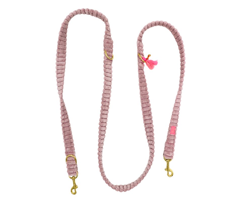 Leine "Couchy“ Powderrose