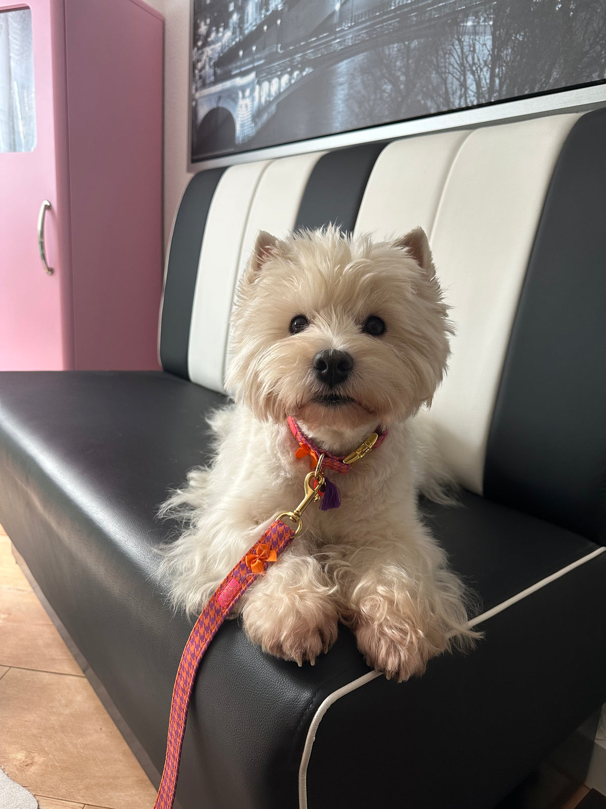 Halsband "Classic Purple“