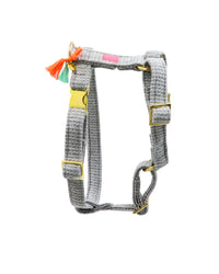 Dog harness “Flair” Greymint