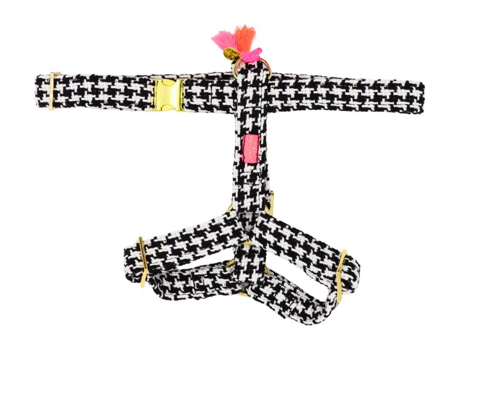 Hundegeschirr "Classic"