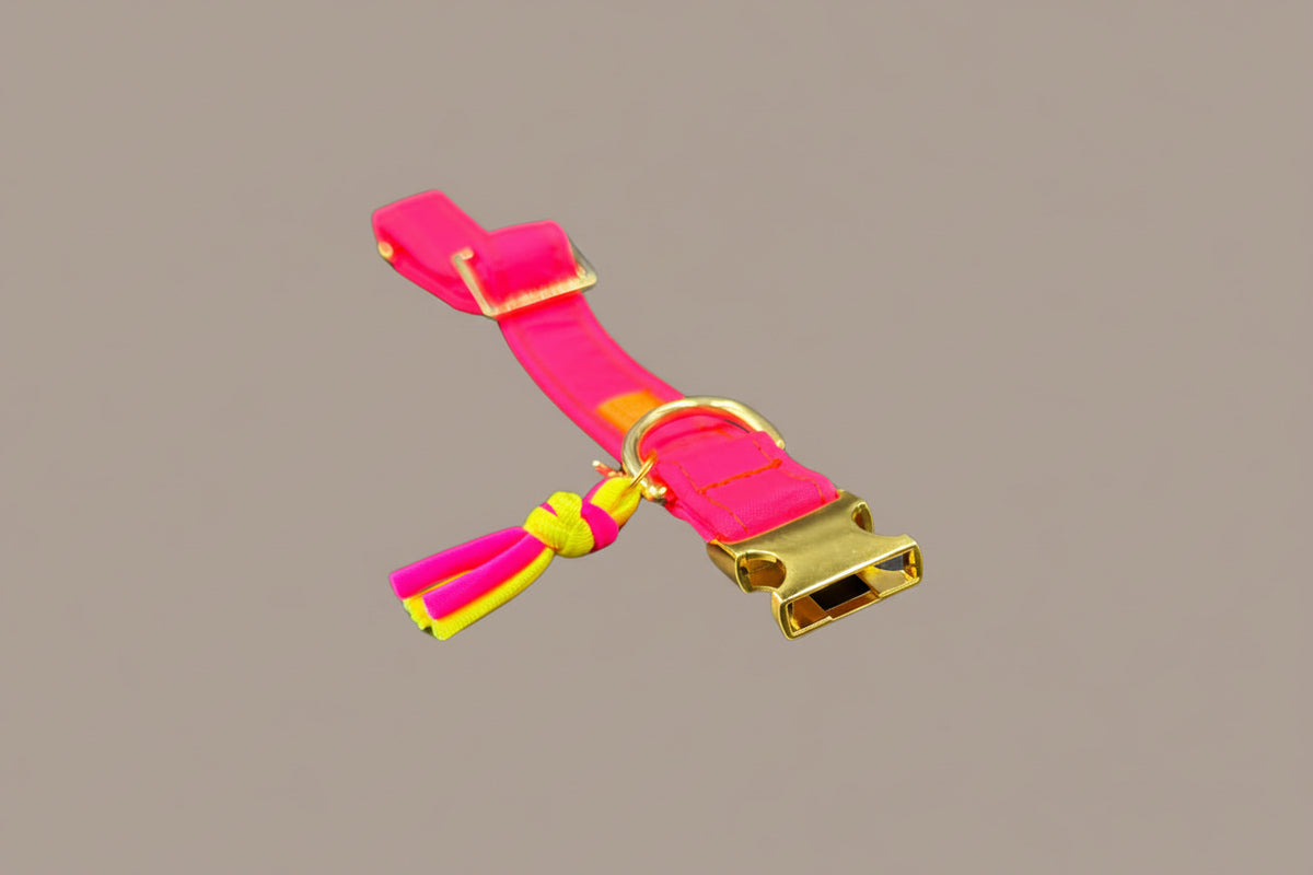 Halsband "Neonique" Pink