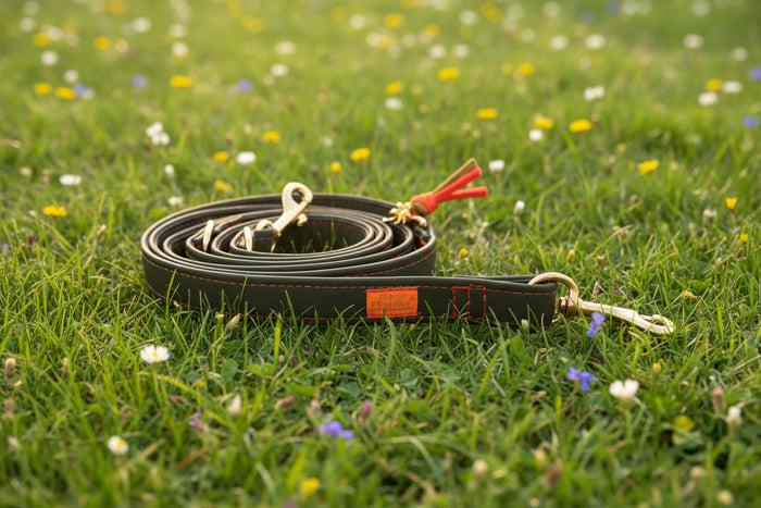 Leine "Neonique“ Olive