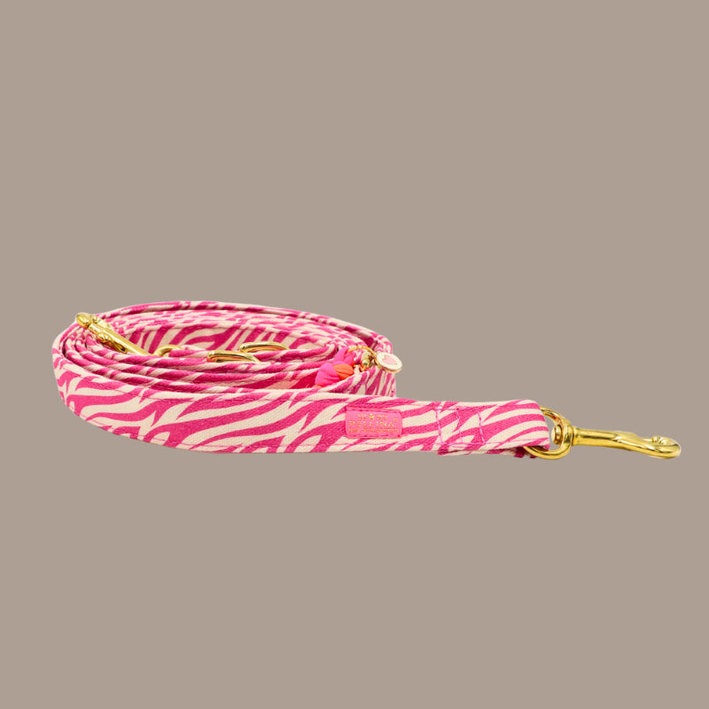 Leine „Stripe Society“ Pink