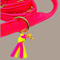 Leine "Neonique“ Pink