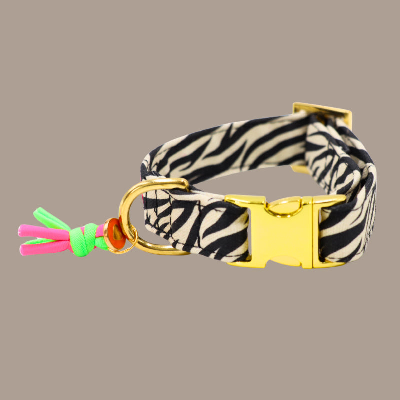 Halsband "Stripe Society"