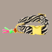 Halsband "Stripe Society"