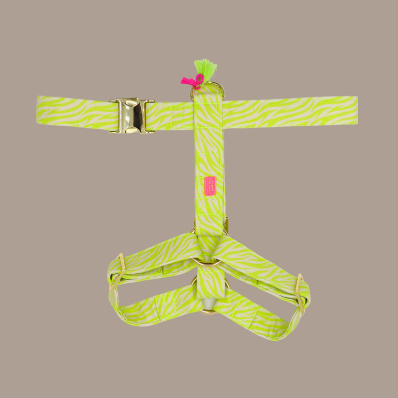 Hundegeschirr "Stripe Society" Lime
