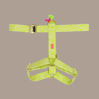 Hundegeschirr "Stripe Society" Lime