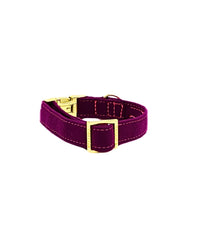 Halsband "Sweaty Berry“