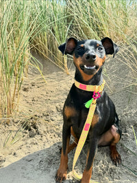 Leash "Signature" Summer Green