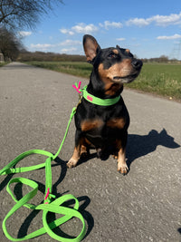 Leash "FeelGood" NeonGreen