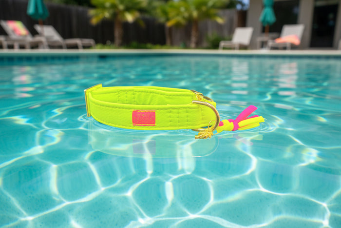 Halsband "Neonique" Yellow