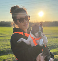 Hundegeschirr "Neonique" Orange