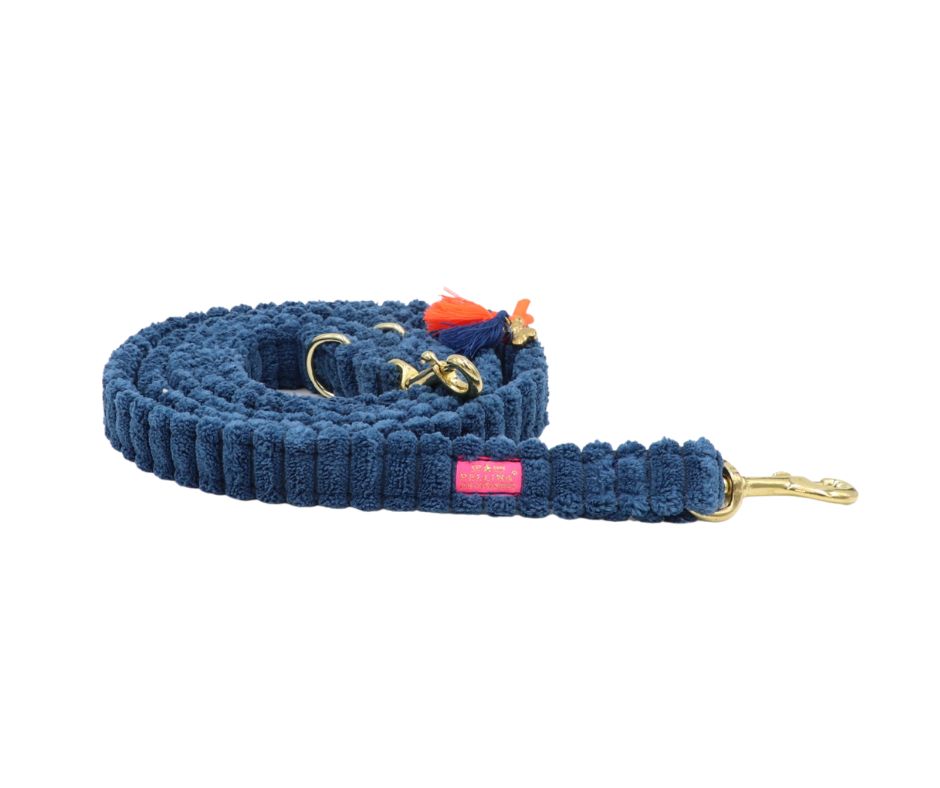 Puppia Wildflower Hundeleine – Größe M, Himmelblau, 200 Cm Länge, 1,5 Cm Breite | Sicher & Stylisch