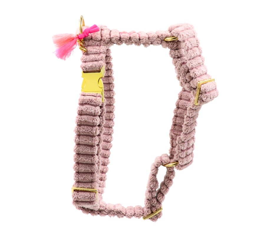 Hundegeschirr "Couchy" Powderrose