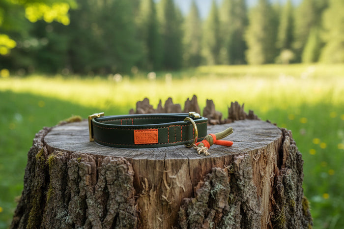 Halsband "Neonique" Olive