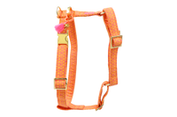 Geschirr "SIGNATURE" Summer Orange