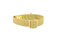 Collar "SIGNATURE" Summer Green