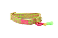 Collar "SIGNATURE" Summer Green