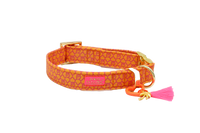Collar "SIGNATURE" Summer Orange
