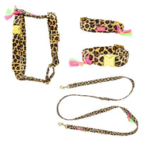 „Heart & Paw“ – Halsband, Geschirr & Leine