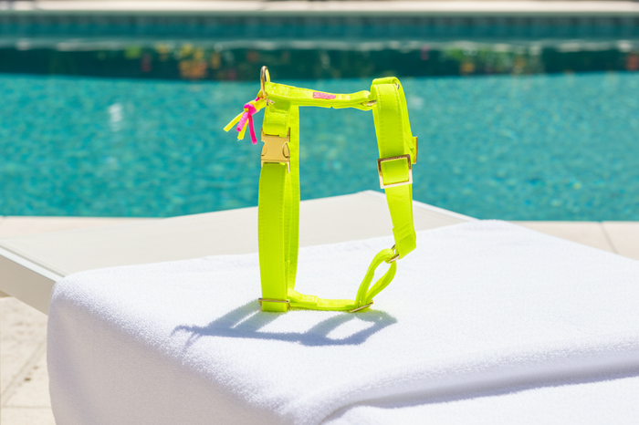 Hundegeschirr "Neonique" Yellow