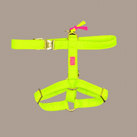 Hundegeschirr "Neonique" Yellow
