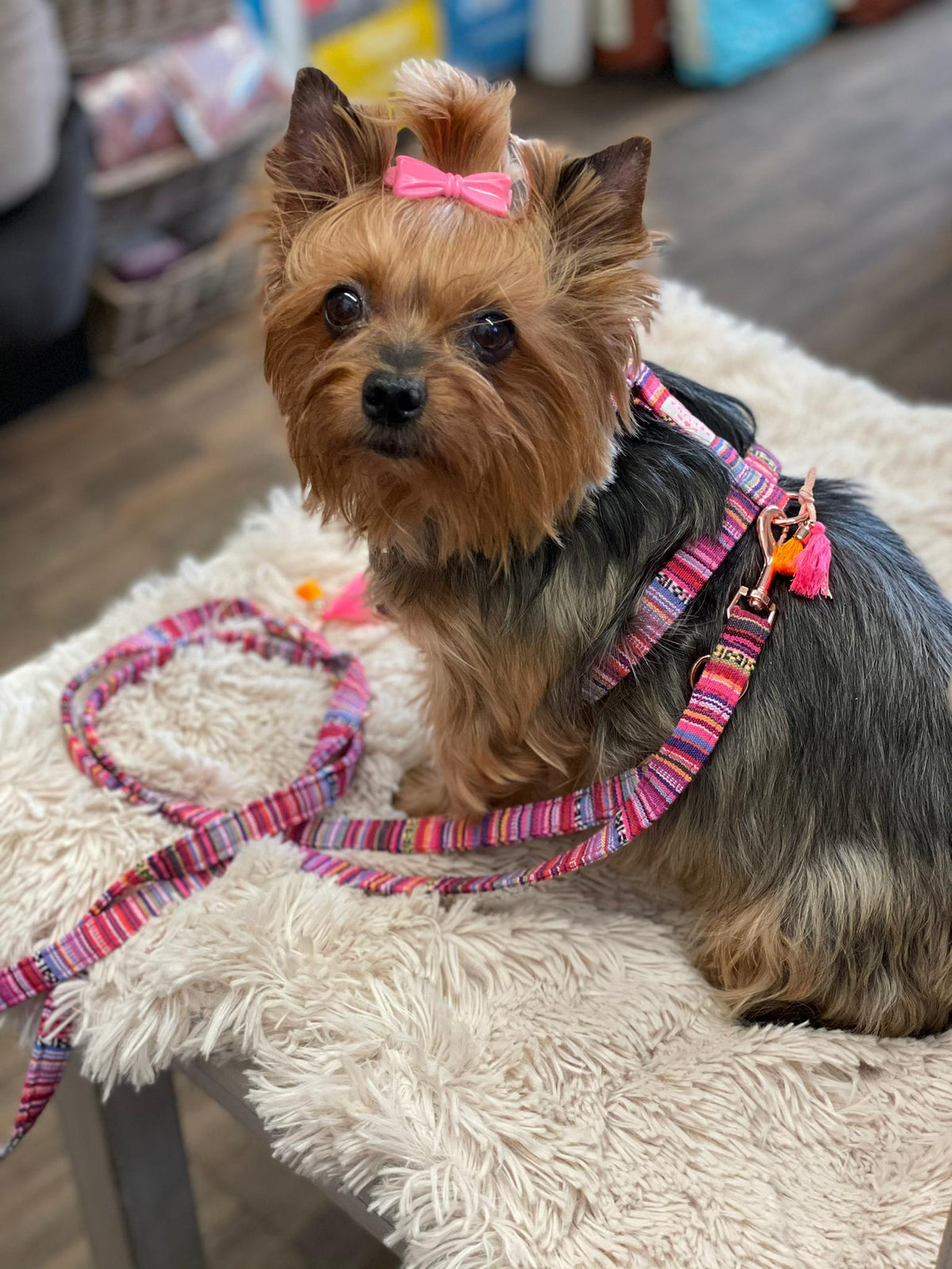Dog Harness "Boho Pink" 