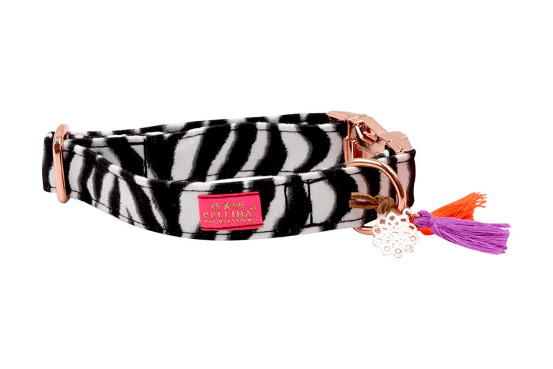 Halsband "Animal Zebra"