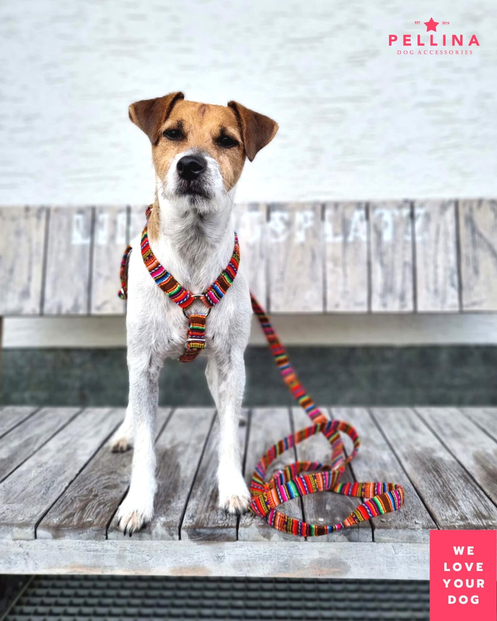 Love your dog store harness