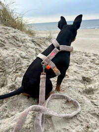 Hundegeschirr "Cashmere"