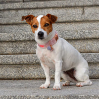 Collar "Cashmere Candy"