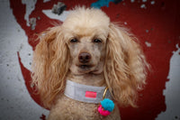 Collar "Cashmere Silver