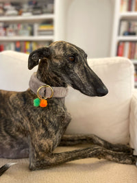 Zugstopp Halsband "Cashmere"