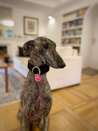 Zugstopp Halsband "Cashmere Black“